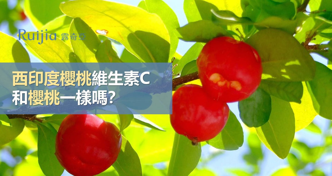 西印度樱桃维生素C和樱桃一样吗？