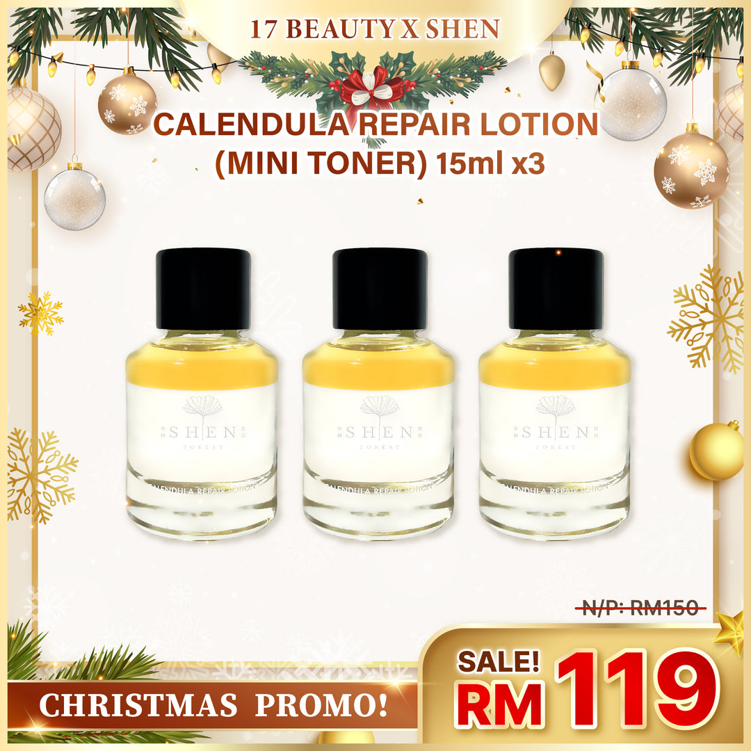 17 Beauty Christmas Gift Special Packaging