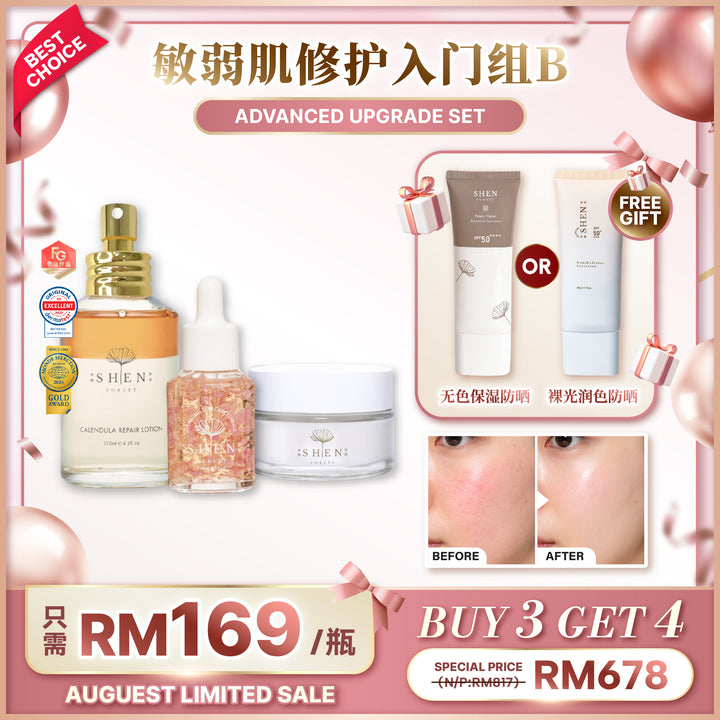 【LIMITED PROMO】SHEN Beginner Starter Kit 新手入门组合