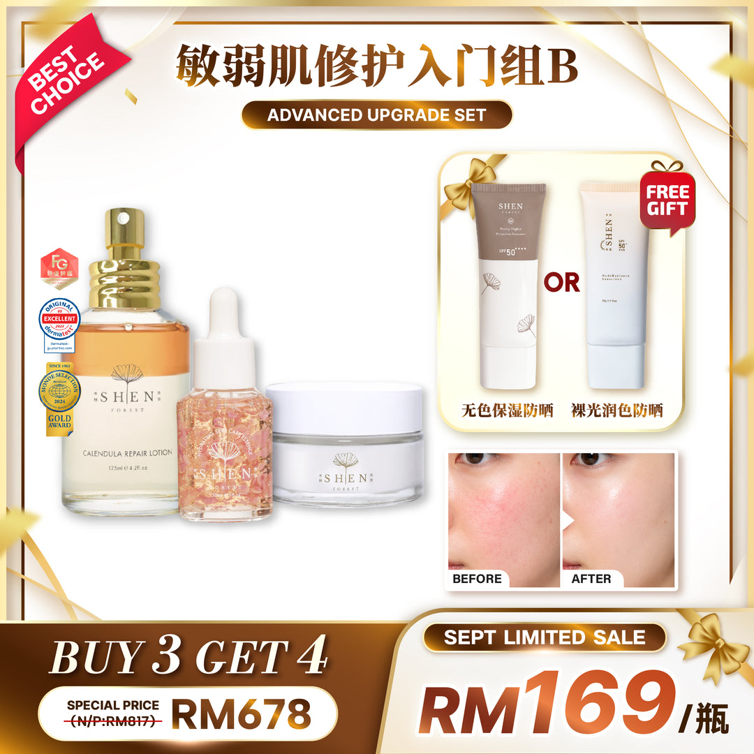 【LIMITED PROMO】SHEN Beginner Starter Kit 新手入门组合