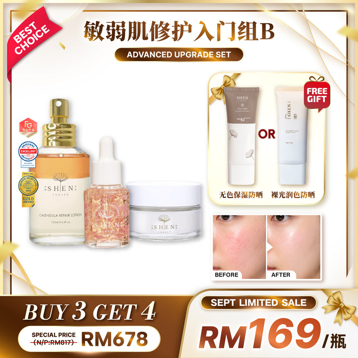 【LIMITED PROMO】SHEN Beginner Starter Kit 新手入门组合