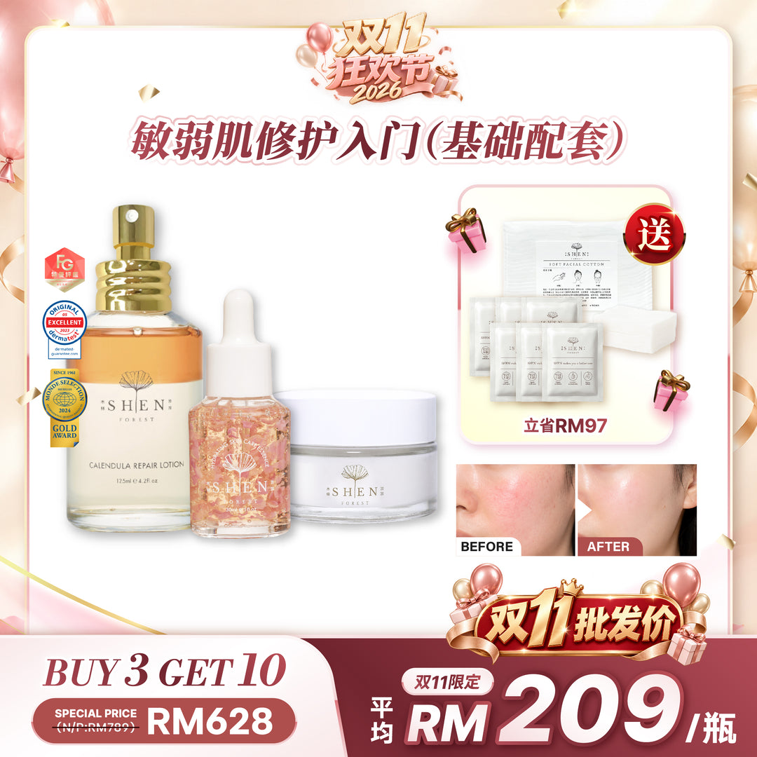 【双11优惠】SHEN Beginner Starter Kit 新手入门组合