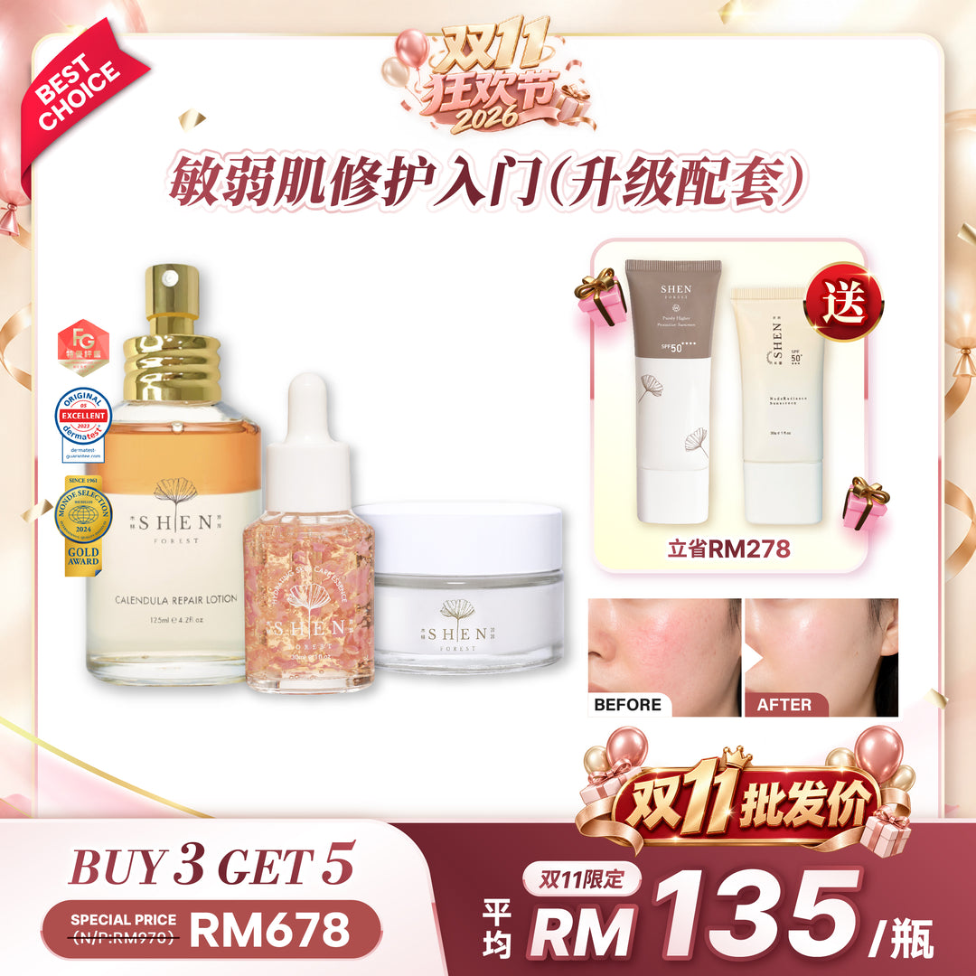 【双11优惠】SHEN Beginner Starter Kit 新手入门组合
